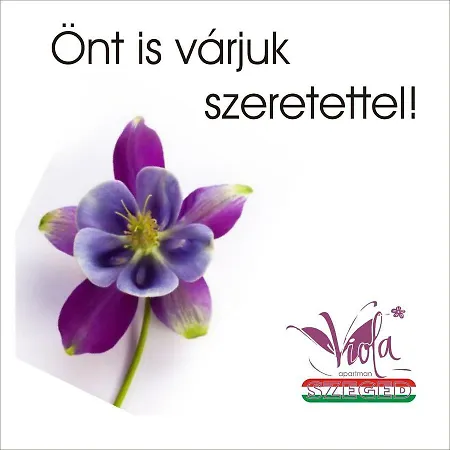 Viola Apartman With Infra Sauna Szeged